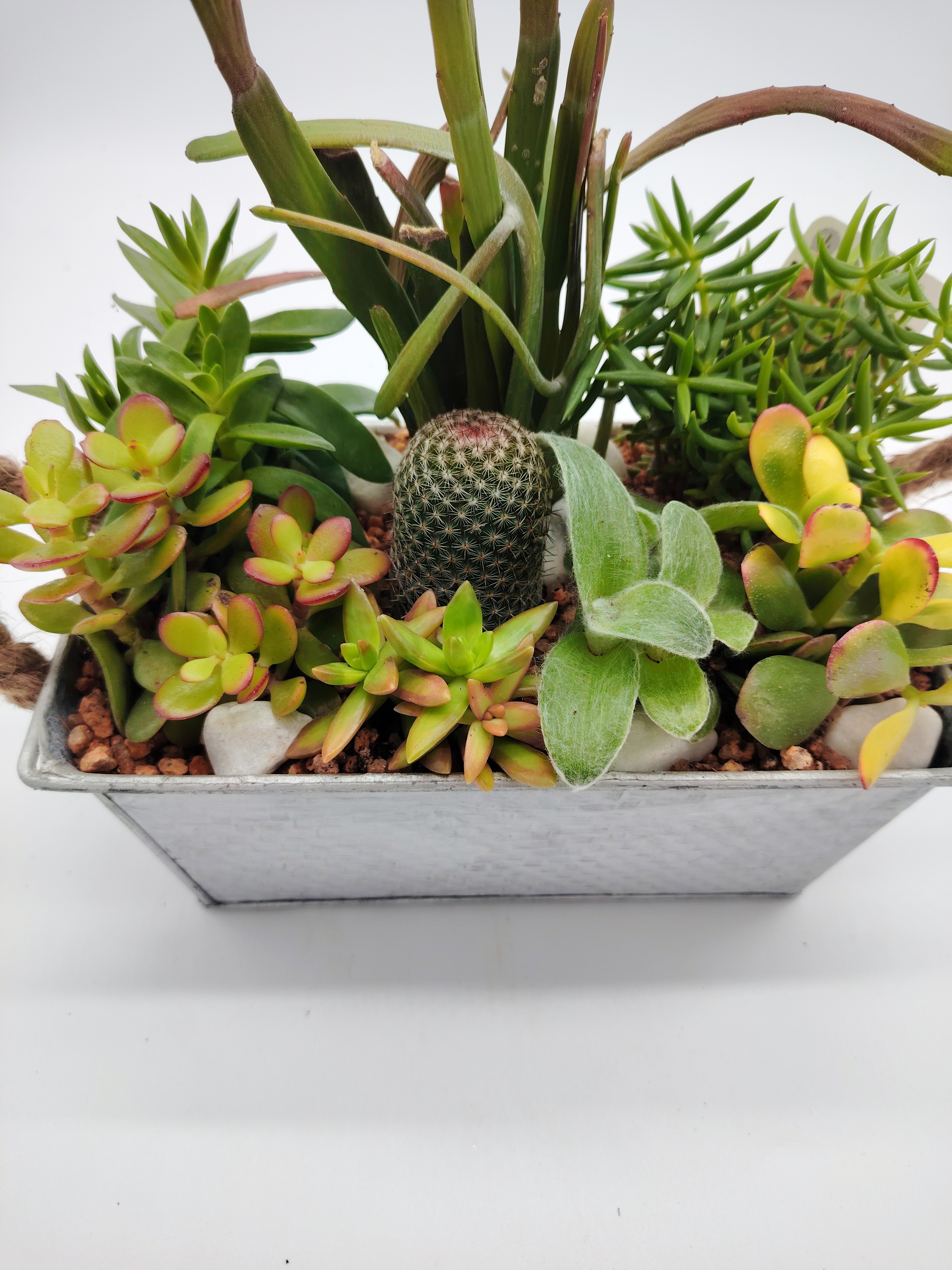 Jardinera Zinc