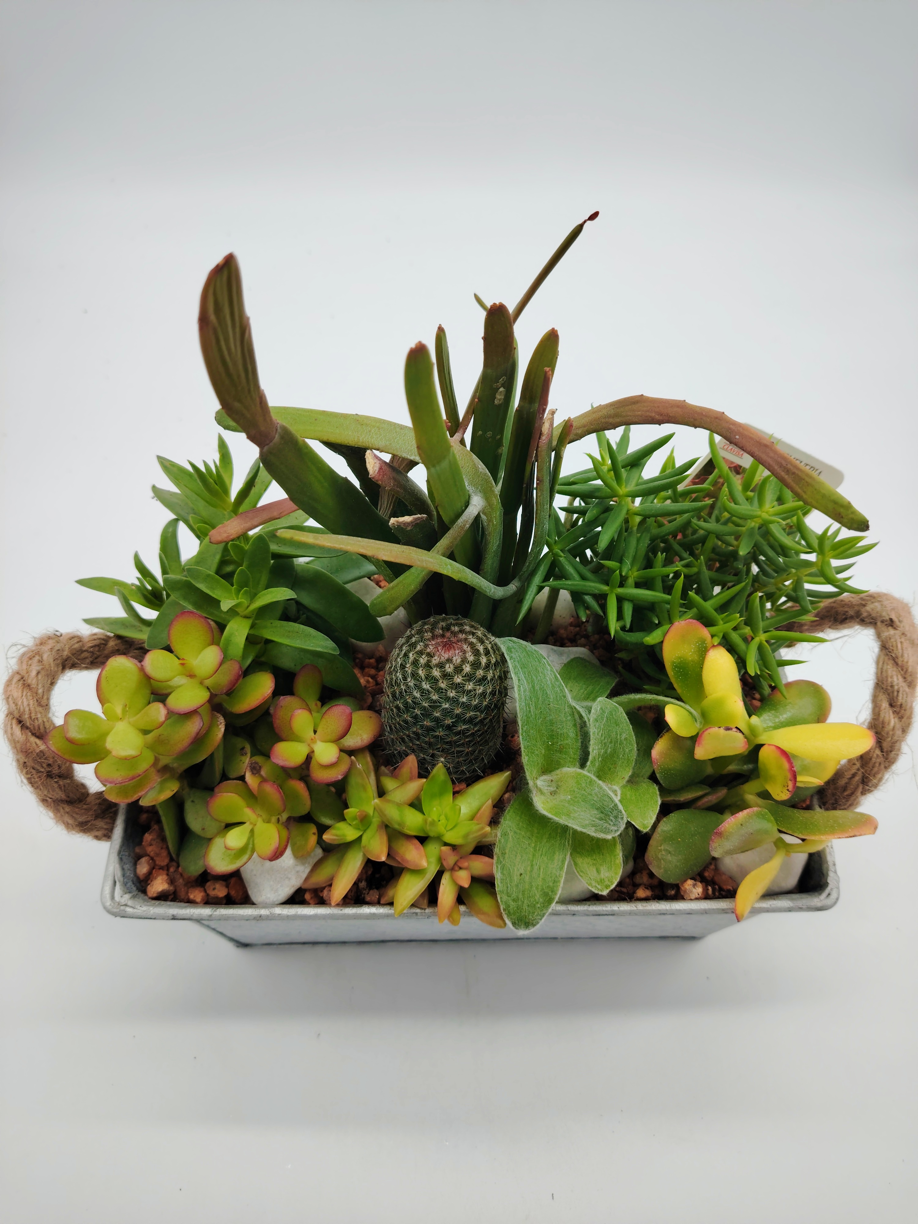 Jardinera Zinc